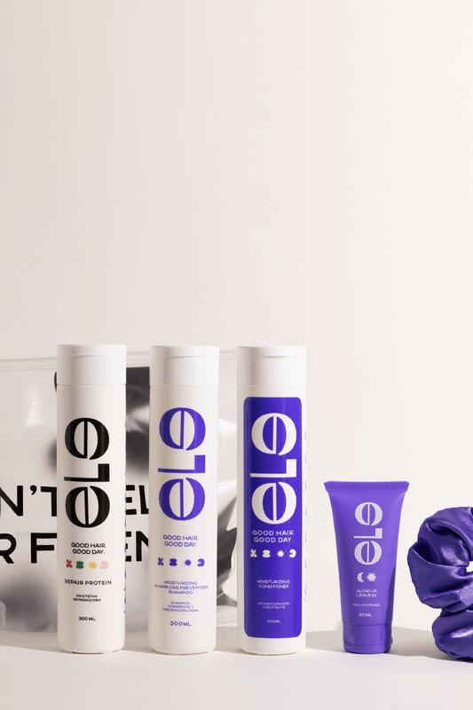 rutina para pelo seco