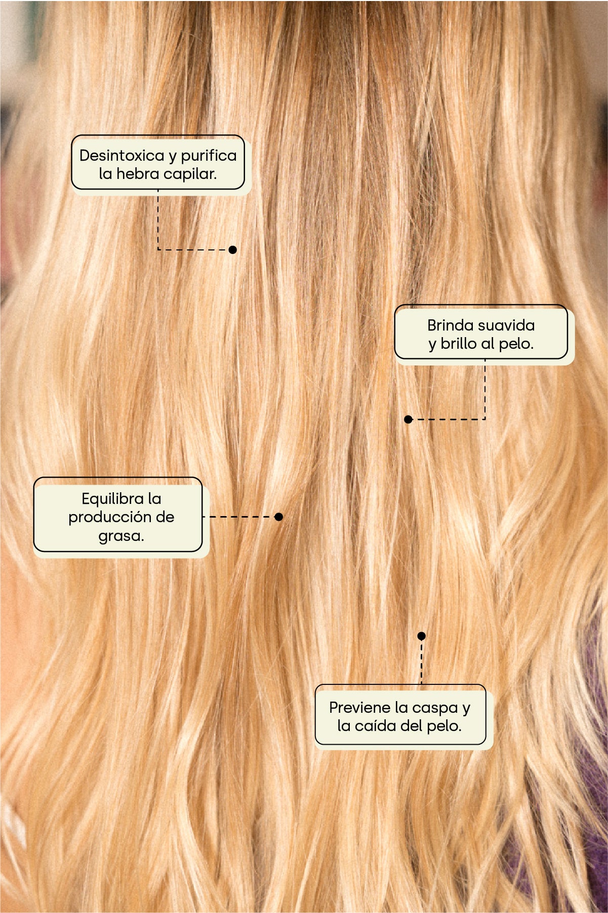 Beneficios del shampoo para cabello graso