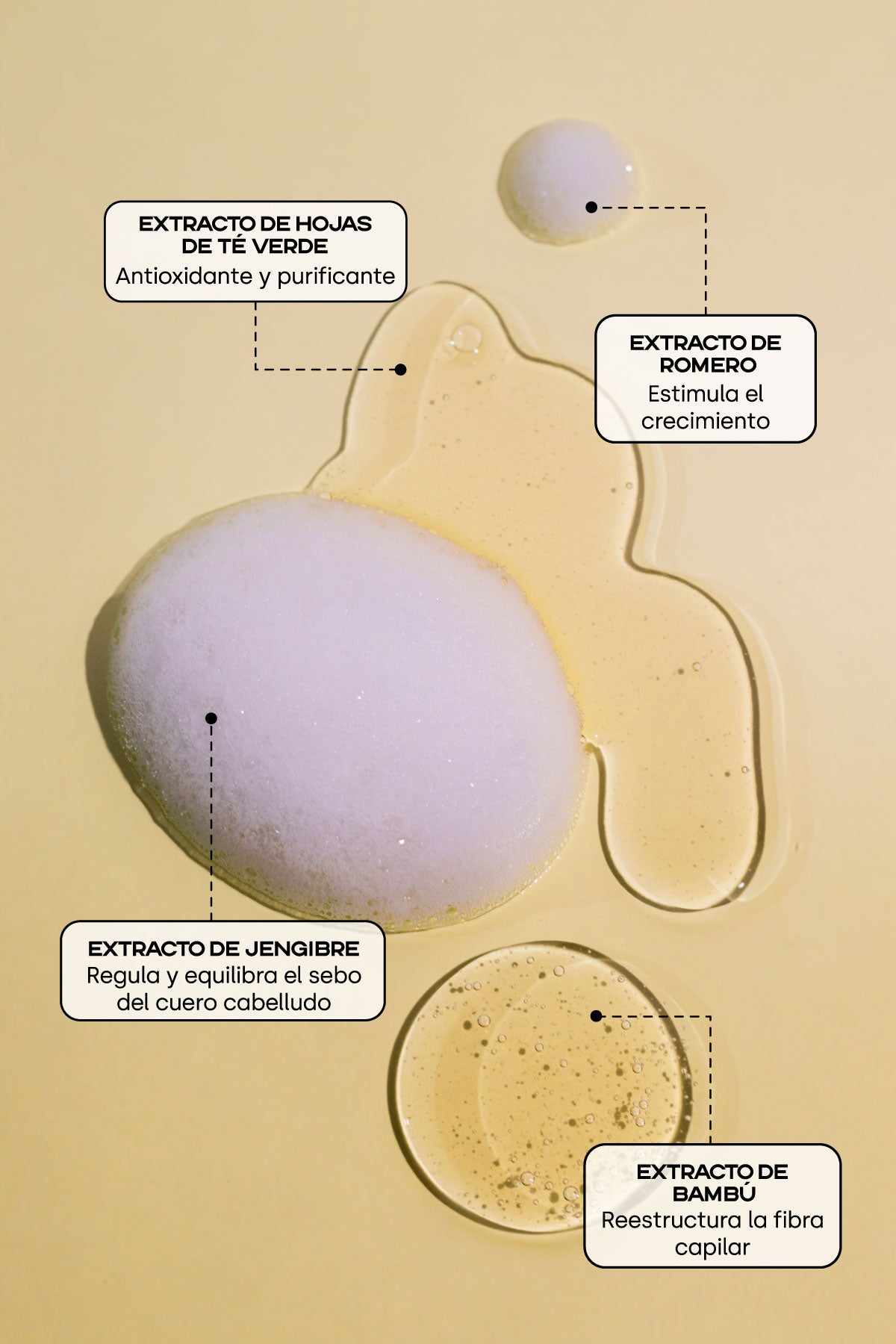 Shampoo para pelo graso