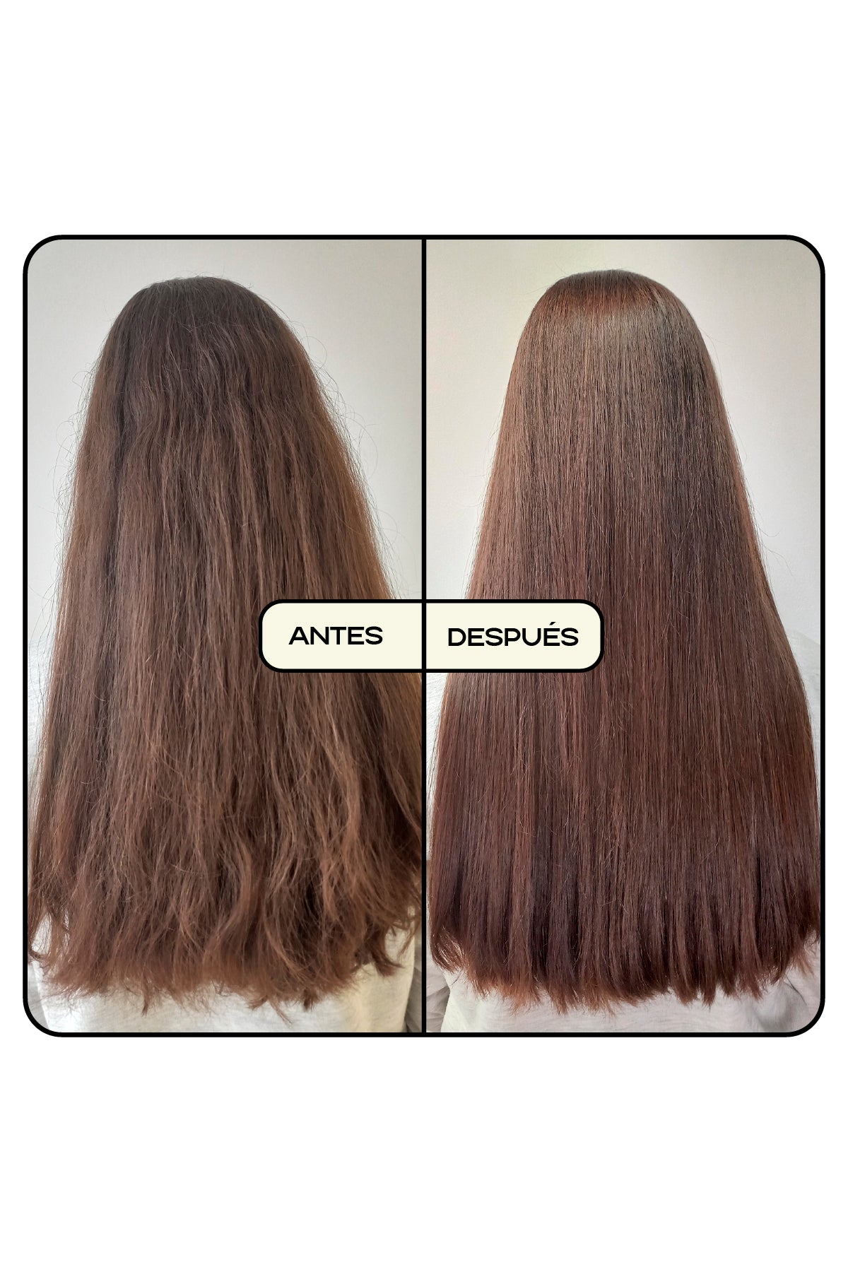 tratamiento para cabello seco